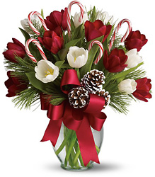 <b>Holiday Wishes</b> from Scott's House of Flowers in Lawton, OK